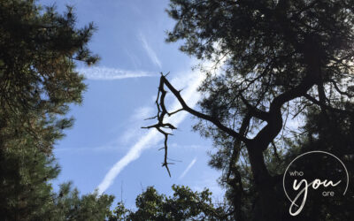 ‘Mijn therapeut weet wat ik nodig heb’ = misverstand!!