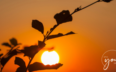 Kosteloze ondersteuning