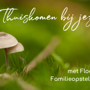 18 januari 2026 Familieopstellingen en floaten