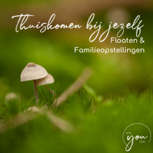 4 juli 2026 Familieopstellingen en floaten